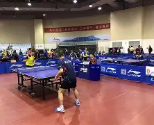 乒乓球联赛上演强强对话，岭南猎隼队读秒扳平江南银狐队，团队配合流畅；细节处理更胜一筹的简单介绍